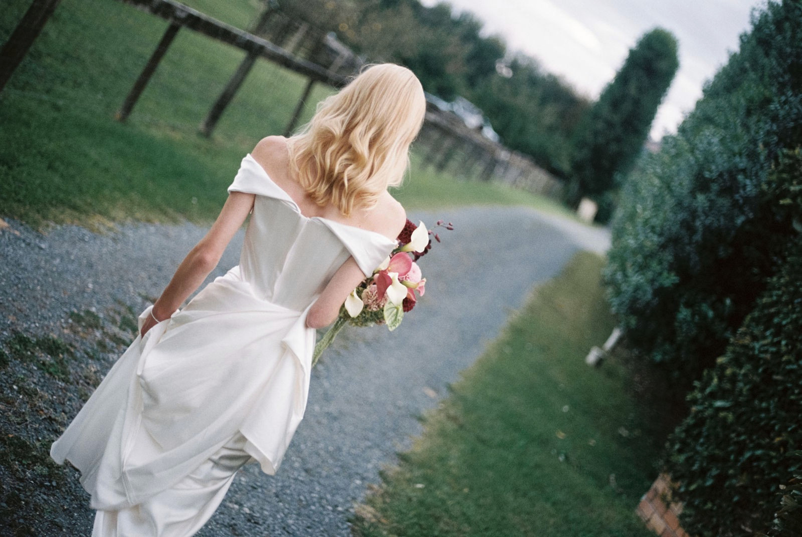 35mm film photograph of the day